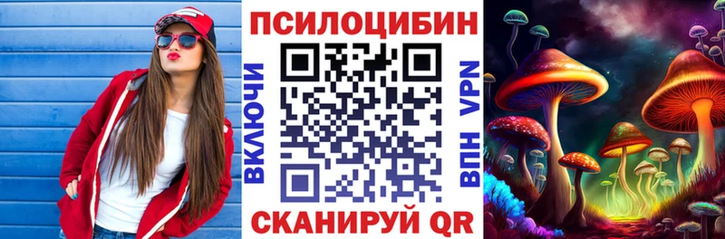 KRAKEN   купить наркотики сайты  Волхов  Псилоцибиновые грибы прущие грибы 